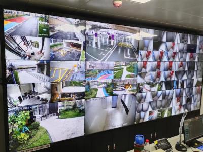 ��������ɽʮһ����Ŀ���ܻ�ϵͳ����