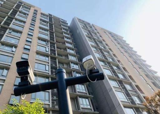 С���߿�����������