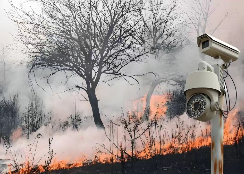 �̻�ʶ�𱨾�����ͷ������